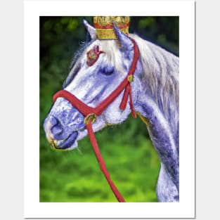 Horse with Crown Posters and Art